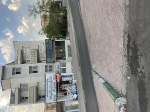 طلق و ايرانيت فراهانى 4