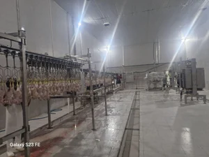 مرکز پخش مرغ کشتارگاه دلناز 2