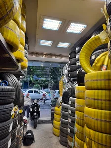 Mir Jafari tires