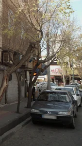 فاتای