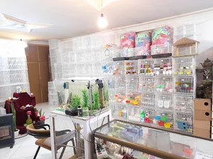 پرنده سرای پدر