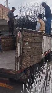 تولید حفاظ در شادآباد 2