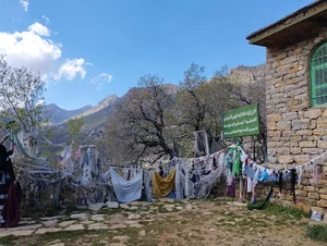 پیر شالیار