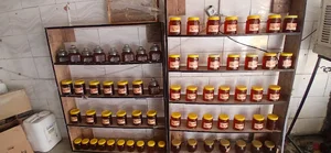 عسل زاگرس