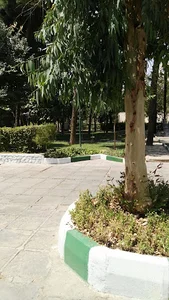 کانون سمیه