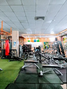 باشگاه ورزشی شفق