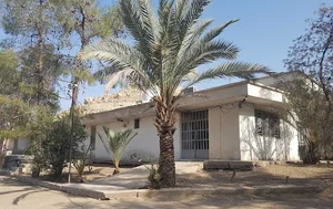 شرکت قارچ شیراز