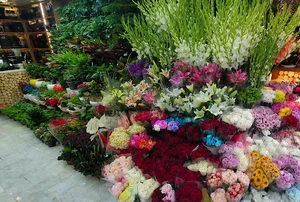 گل فروشی شقایق
