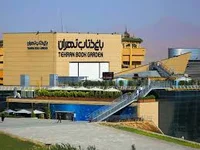 صفویه
