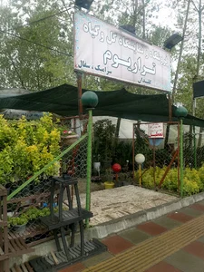 نمایشگاه و فروشگاه گل و گیاه تراریوم