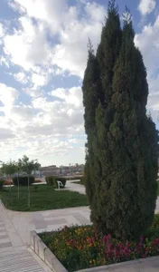 بوستان فرهنگیان 3