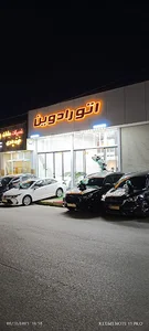 اتو رادویــــن