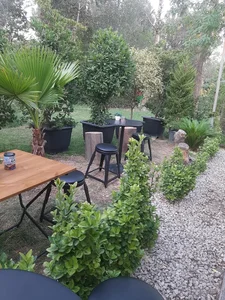 انرژی پلاس 2
