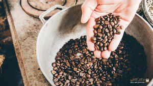 Noise Coffee | نویز کافی