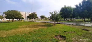 پارک ترافیک