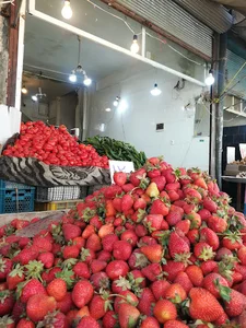 میوه فروشی موسوی