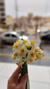 سالن زیبایی ساراصابر