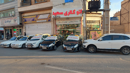 اتوگالری سعید