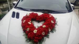 گلفروشی ساینا گل