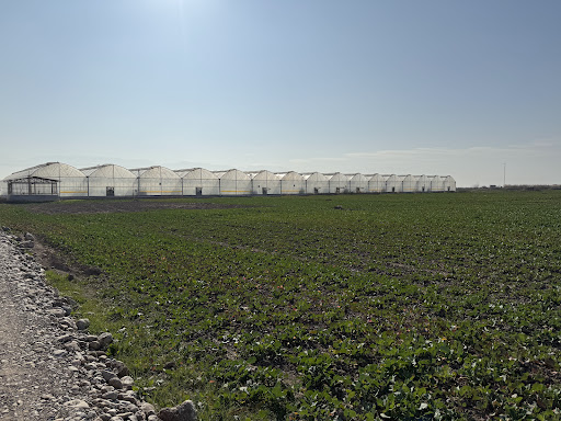 Hakim Alejalil Greenhouse / گلخانه آل جلیل