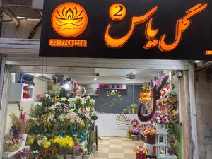 گل یاس