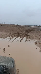 Zahedan.home