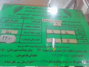 نانوایی