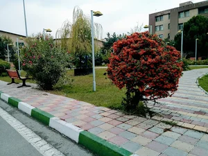 بوستان گهر