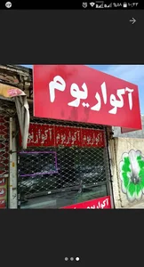 آکوا آبنوس
