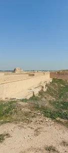Apadana East Courtyard حیاط شرقی