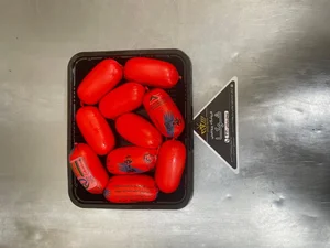 پروتئینی شوکا مرغ‌ ، ماهی و گوشت 2