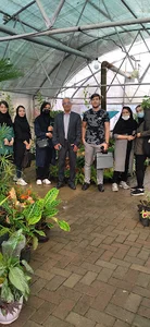 گلخانه دنیز ممقان