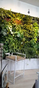 دکوراتیو آبنوس
