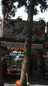 پروتئینی گوشت مرغ شیرکوه