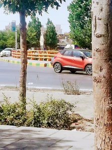 ایست کار سید رضی