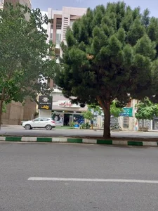 کیا مارکت