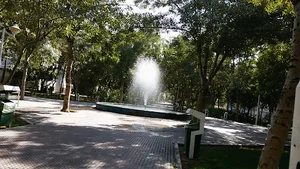 بوستان غنچه نرگس