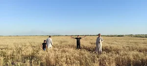 مزرعة اولاد حجي حنش الگریاوی