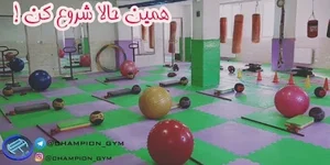 باشگاه ورزشی