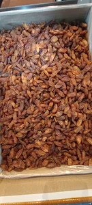 پخش کشمش ظفری