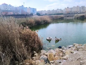 پارک فروزان 2