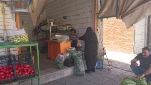 میوه فروشی رضایی
