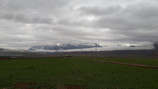 گردنه حلوایی.