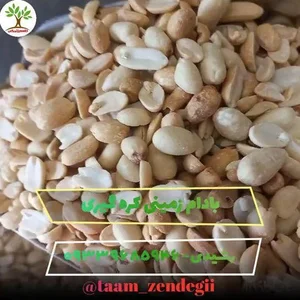 محصولات گیاهی طعم زندگی 4