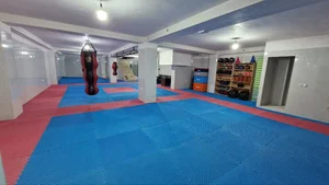 باشگاه ورزشی اسپاد
