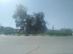 فلکه لوری