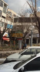 پیتزا سبز 4