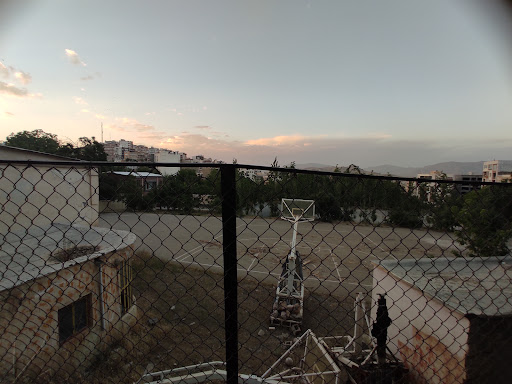باغ تیمن