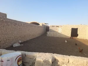مجموعه دام، کشاورزی وباغ حاج صادقی