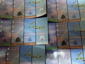 سبزی خرد کنی سید